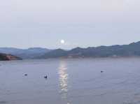 歷時11天的雲南遛娃深度遊攻略