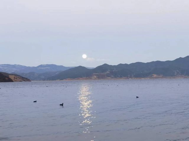 歷時11天的雲南遛娃深度遊攻略