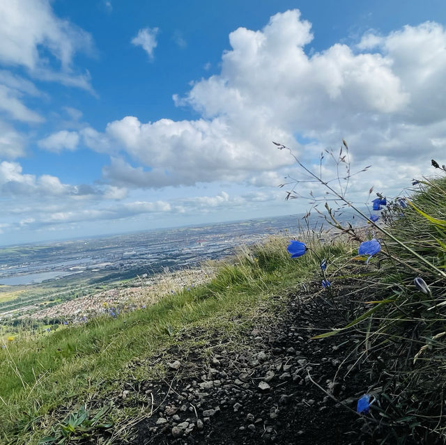 Belfast cool and breezy Cavehill