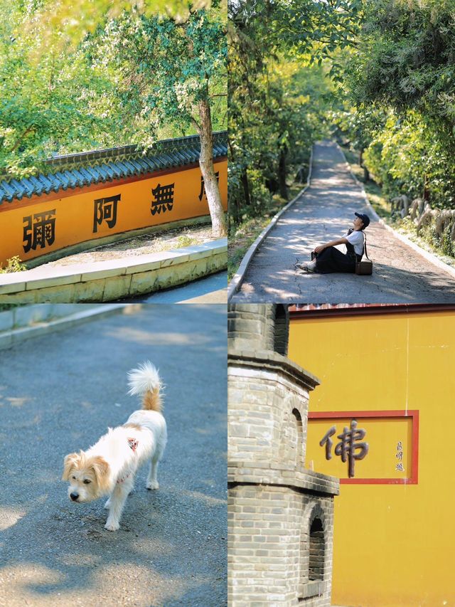 武漢市內冷門公園 ！地鐵直達治癒徒步路線