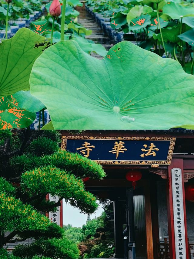 大同•法華寺。