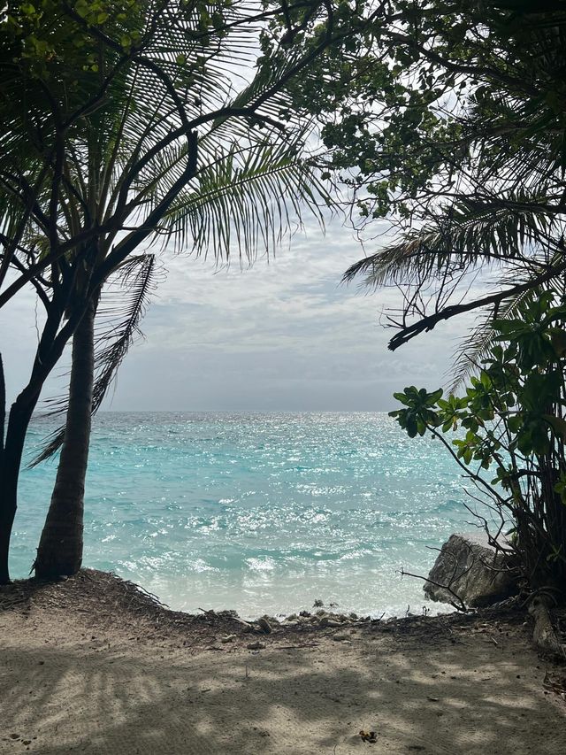 馬爾代夫波杜希蒂島旅行小貼士。