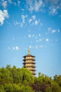 吉林長春北湖濕地公園｜一幅充滿生機與活力的畫卷。