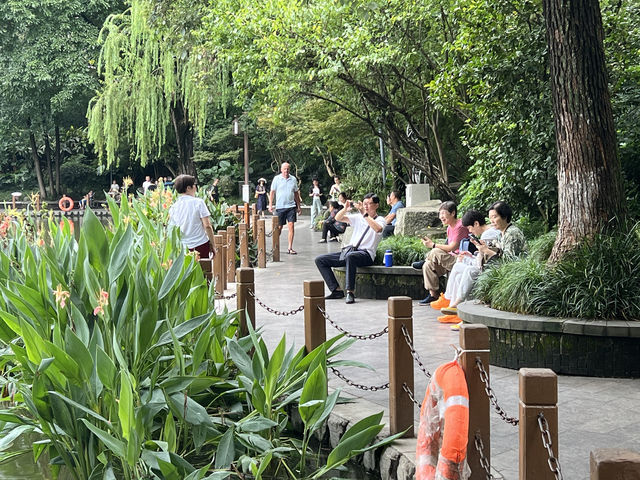 成都的"人民公園"充滿濃厚的市井氣息!