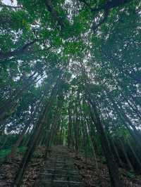 陽台山公園。