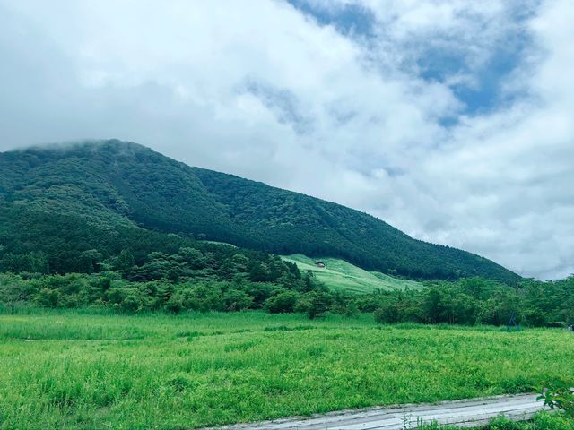 箱根，隨心所遇的旅行日記！