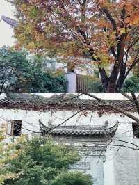 綽綽兰亭安麓酒店環境優美空氣清新!
