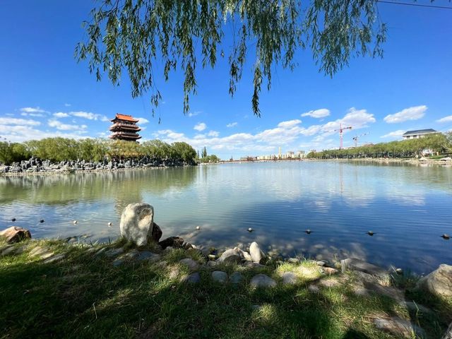甘肃省玉門市｜玉澤湖景區｜大西北的小西湖。