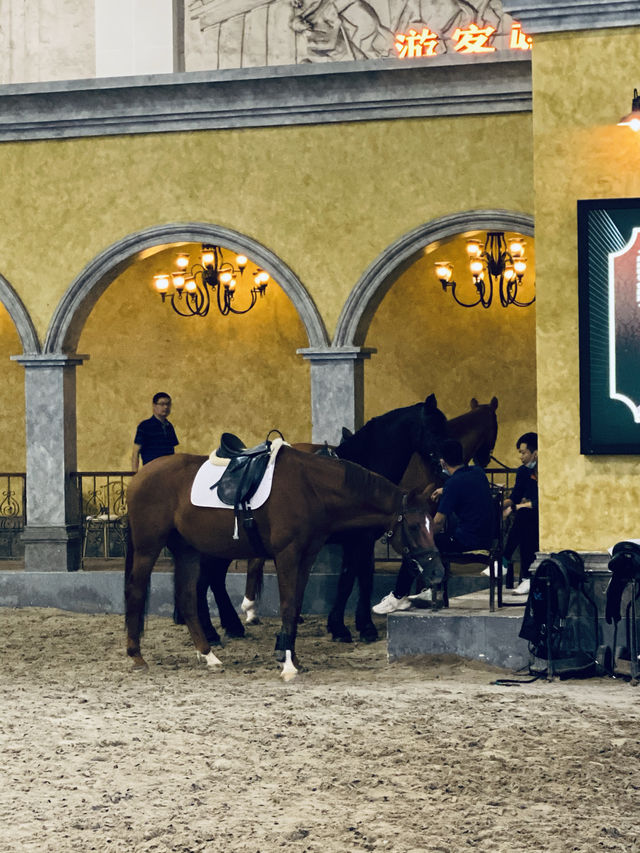 江蘇江陰·海瀾飛馬水城3/5。