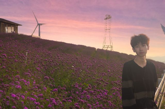 貴陽周邊遊-花溪高坡雲頂花海🪻。