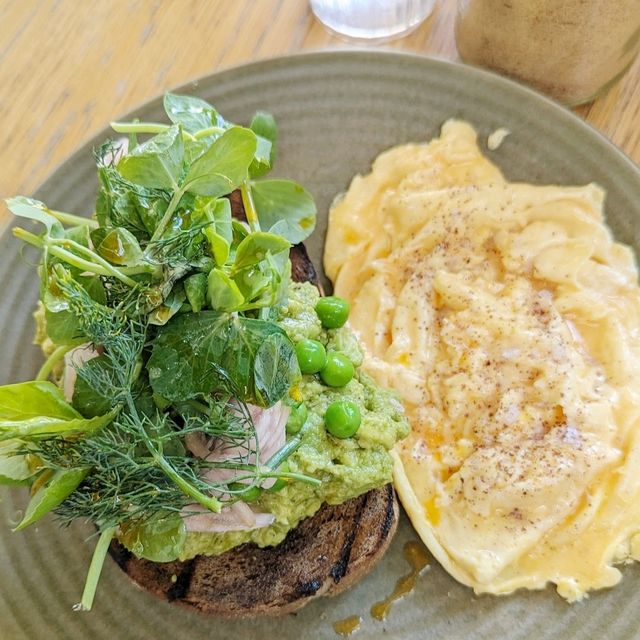 Best in adelaide