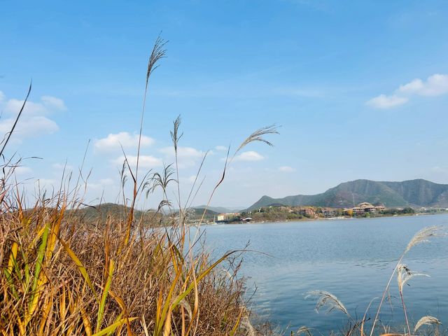 北京金海湖 | 一半山川一半湖海，快去美瘋了！。