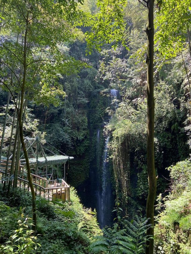 宜賓 僰王山｜遠離霧霾 走進氧吧。