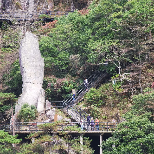 來羊獅慕爬山啦
