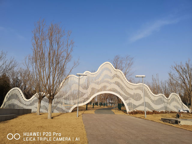 北京遊之四：冬天的世園公園。