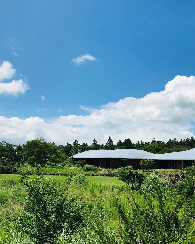 《濟州島波多酒店：身心棲息的夢幻之所》。