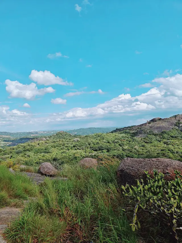 Bangalore | The Garden City of India.