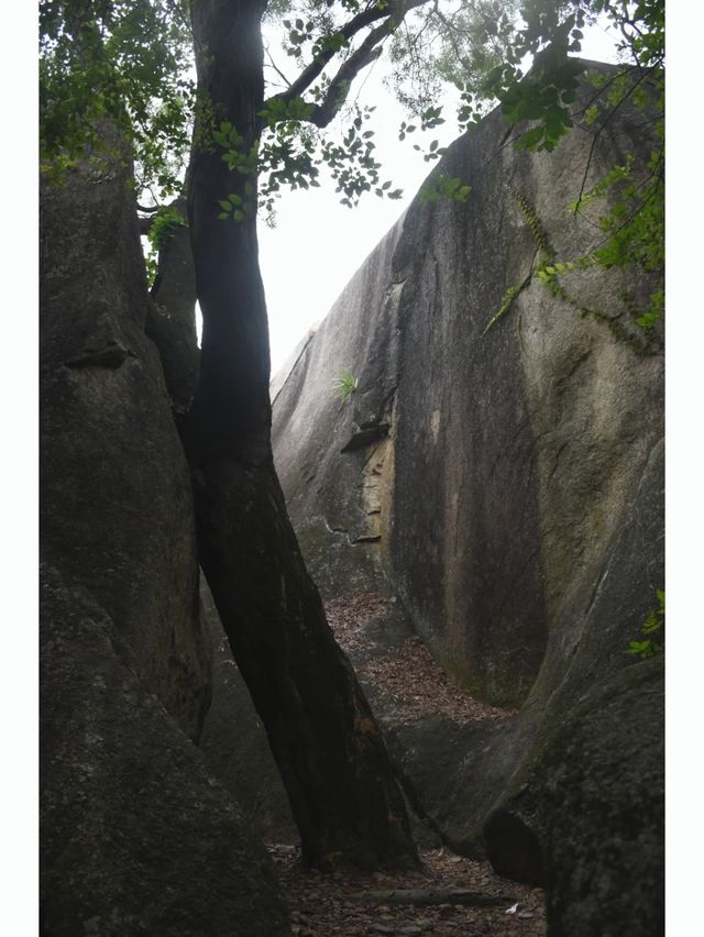 寶藏戶外路線！輕鬆打卡廈門3座寺廟。