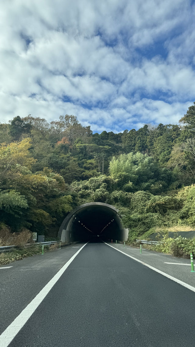 日本三大名山之一千葉鋸山日本寺。