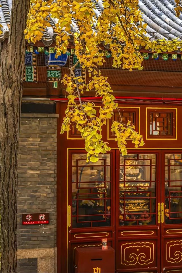 青島湛山寺 | 鬧市中的心靈淨土。 青島湛山寺 | 鬧市中的心靈淨土。