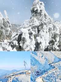 就在廣東不去東北也能擁有的南方雪鄉。