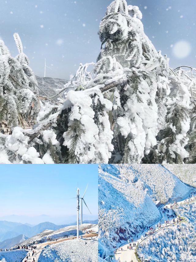 就在廣東不去東北也能擁有的南方雪鄉。