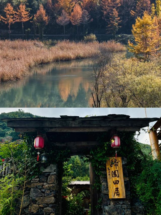 隴南十一月，詩意之旅絕佳時節！。