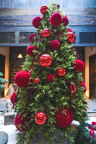 聖誕限定，夢幻飲品與古風韻味的完美邂逅！