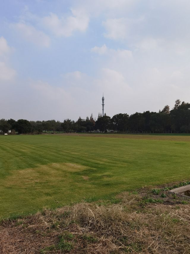廊下郊野公園。