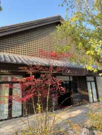 黃岡黃梅東山問梅村。