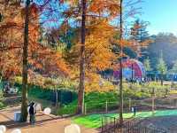 Moomin Park: A Perfect Autumn Getaway