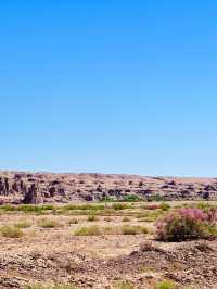 4日探秘阿勒泰來了不想走系列