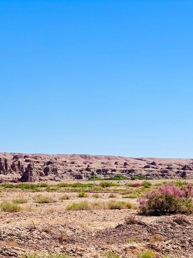 4日探秘阿勒泰來了不想走系列