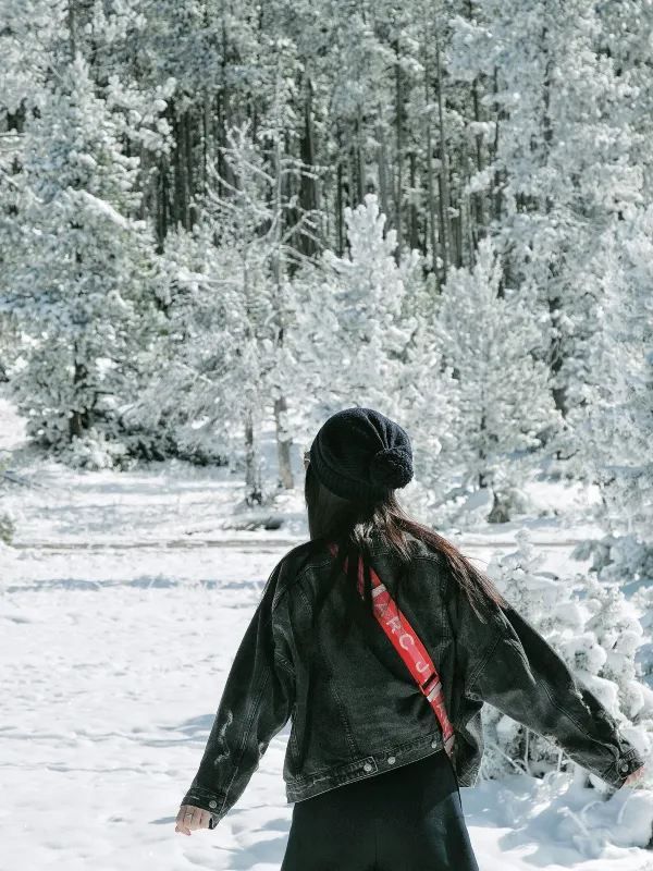 How Stunning is Yellowstone in Winter?