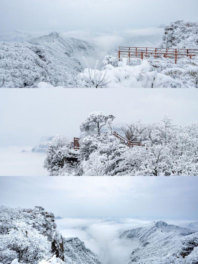 誰懂雪後的光霧山韓劇氛圍感直接拉滿～
