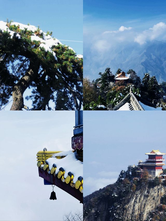 雪後的終南山太美了