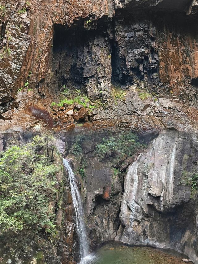 衢州·藥王山｜探秘神農秘境，暢享自然瑰寶