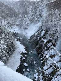 北海道｜旭川美瑛富良野一日遊的奇妙體驗