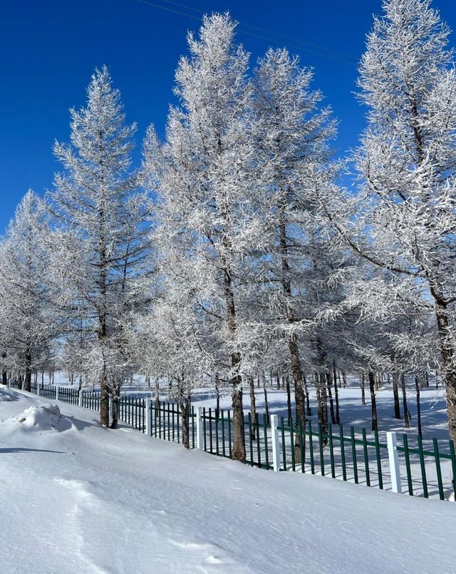 北京出發2小時到烏蘭察布的冬日雪景美得令人落淚 北京出發2小時到烏蘭察布的冬日雪景美得令人落淚