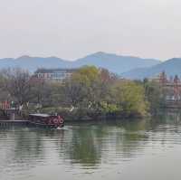 冬日不一樣的西溪湿地公園
