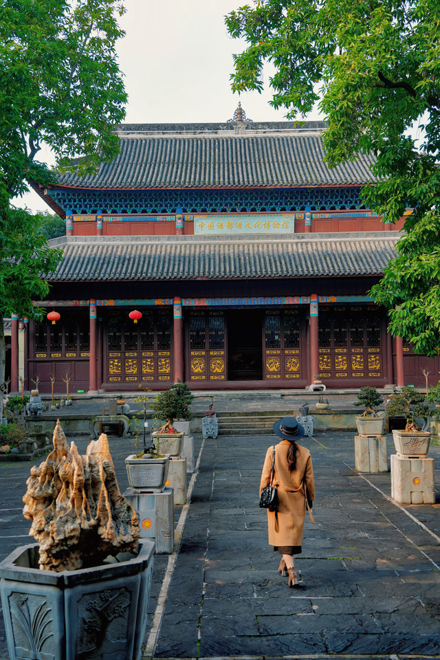 如果只留半天時間給宜賓市區，一定要這樣玩