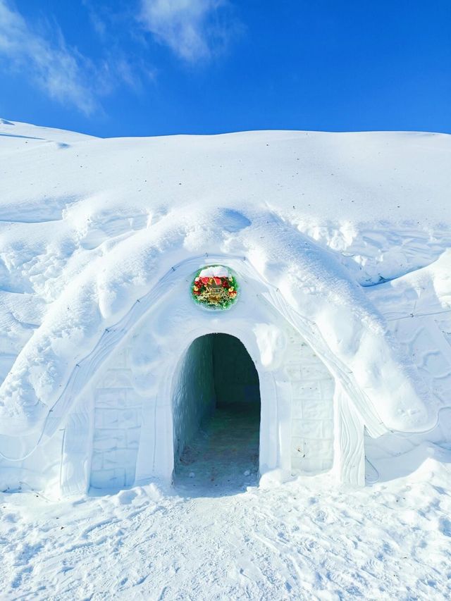 東北打卡不只有爾濱，長白山最美雪屋！