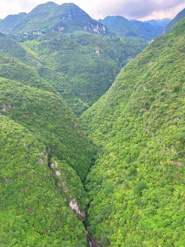 雲南泥珠河大峽谷，等風來不及追風去