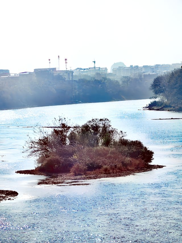 桂林桂湖