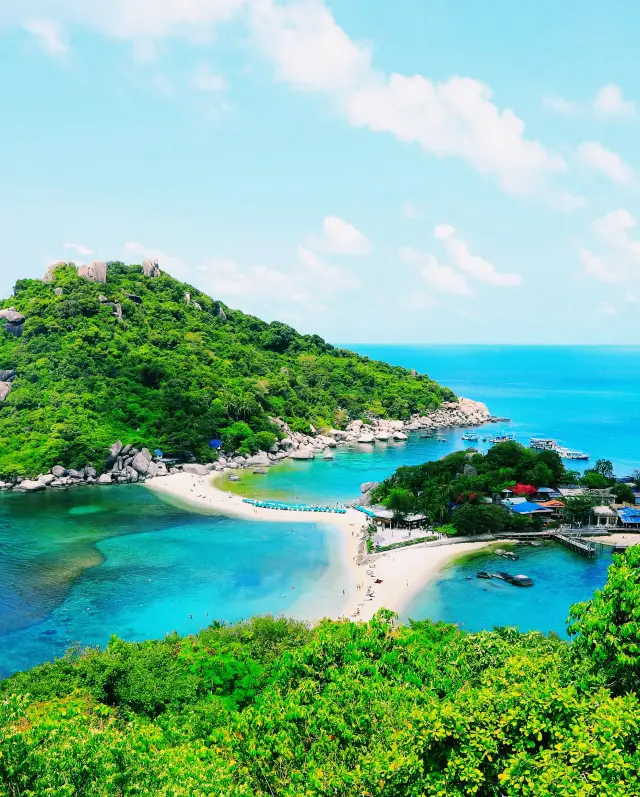 Experience Diving in Koh Samui｜Encounter a Dreamy Underwater World