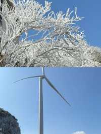 本周末清遠雲冰山看 2025 年第一場霧凇
