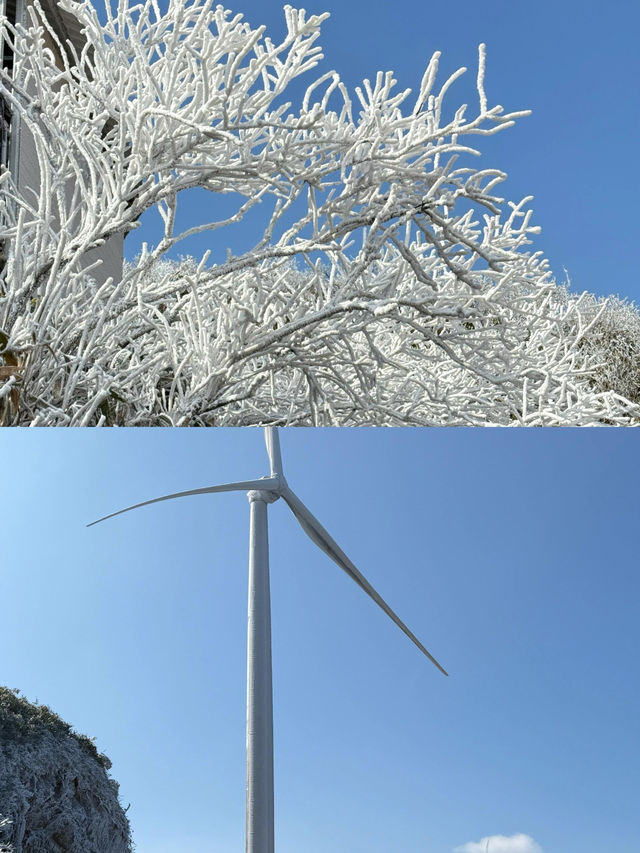 本周末清遠雲冰山看 2025 年第一場霧凇