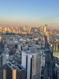 日本6日遊 真溫泉體驗不容錯過