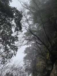 白岩山上白岩寺，立春時節春雨盛