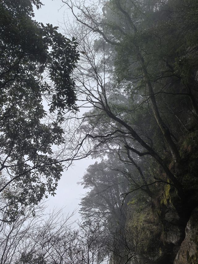 白岩山上白岩寺，立春時節春雨盛